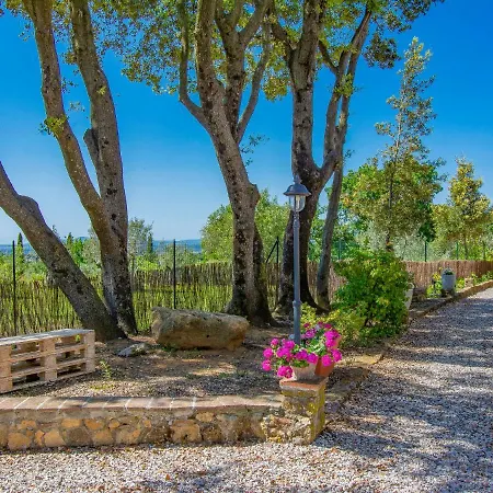 Montaleo 4 By Interhome * Casale Marittimo